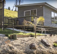 Sunny Gum - South Australia Travel