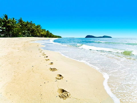 Temple 121 Modern Spacious Palm Cove 2 Brm 2 Bth Resort Apartment With Courtyard - South Australia Travel 0