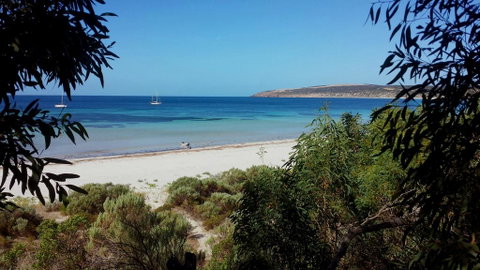 The Beach Shack - South Australia Travel 1