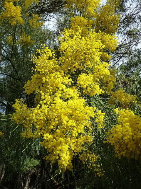 Eagles Rise Tasmania - South Australia Travel 29