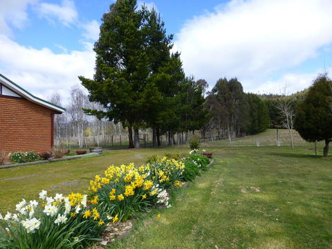 Quamby Pines Chalet - South Australia Travel 23