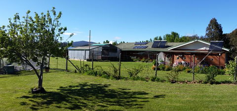 Quamby Pines Chalet - South Australia Travel 1