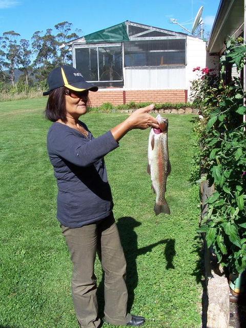 Quamby Pines Chalet - South Australia Travel 15