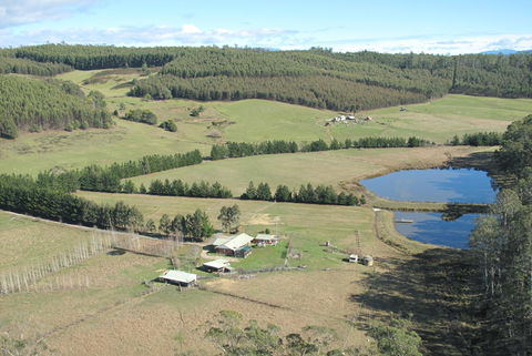 Quamby Pines Chalet - South Australia Travel 7
