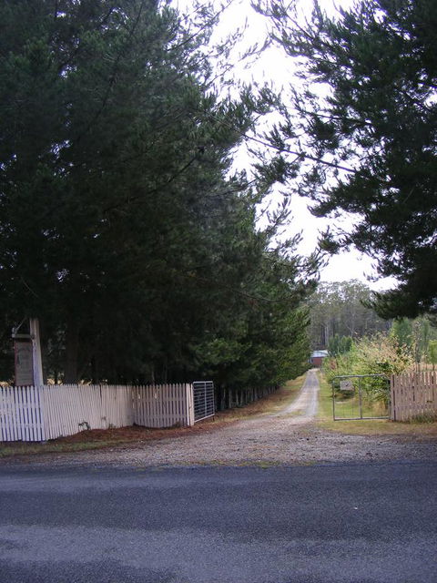 Quamby Pines Chalet - South Australia Travel 2