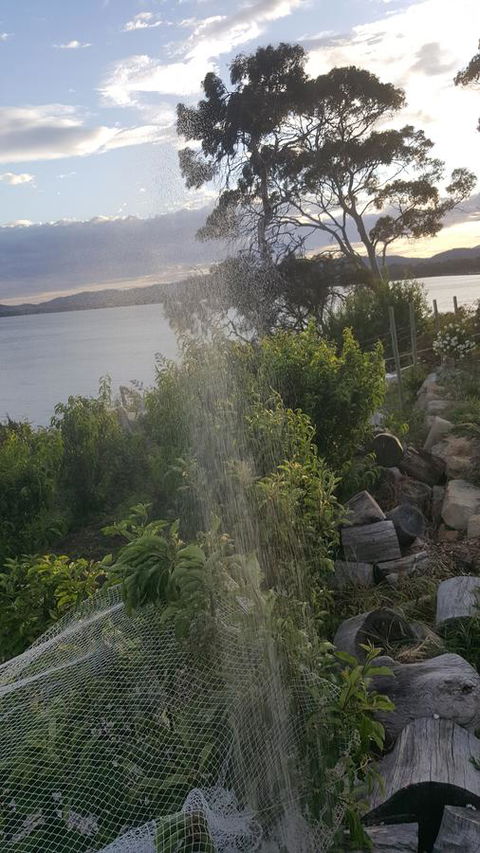 AppleBay Guest House - South Australia Travel 21