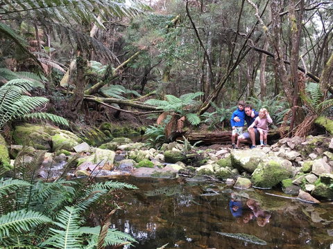 Derby Forest Cabins - South Australia Travel 17