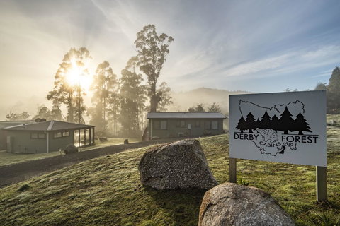 Derby Forest Cabins - South Australia Travel 0