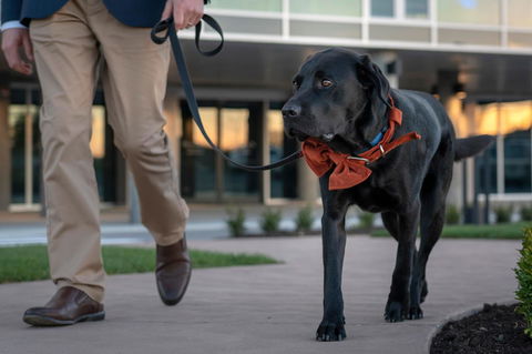 Peppers Silo - South Australia Travel 44