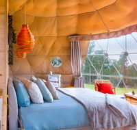 Domescapes in the Vines