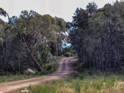 BAY OF FIRES ECO HUT Off Grid Experience At Binalong Bay - South Australia Travel 12