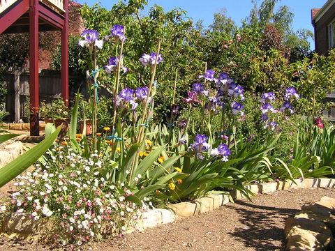 Bendalls Bed And Breakfast - South Australia Travel 10