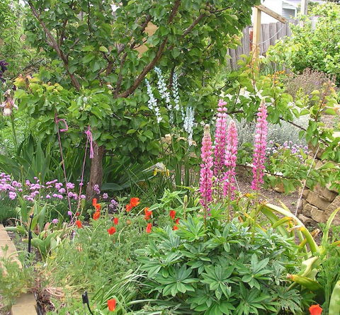 Bendalls Bed And Breakfast - South Australia Travel 14