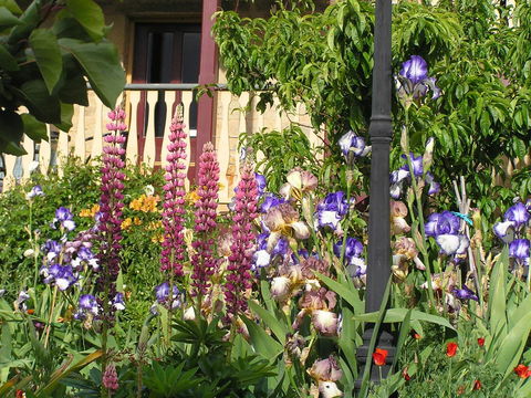 Bendalls Bed And Breakfast - South Australia Travel 8