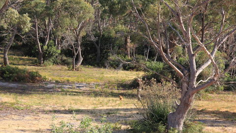 BAY OF FIRES SEACHANGE Ocean Frontage - South Australia Travel 12