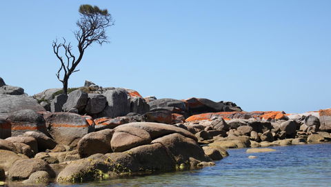 BAY OF FIRES SEACHANGE Ocean Frontage - South Australia Travel 21