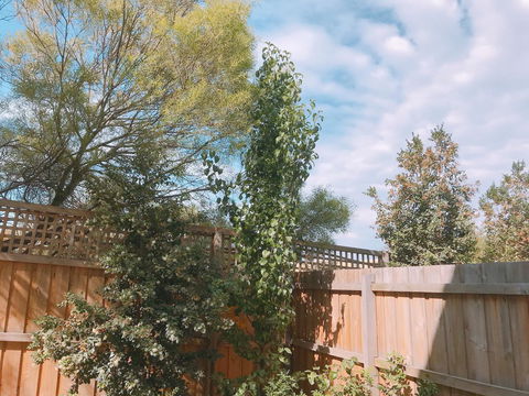 Ellia Doncaster Apartment - South Australia Travel 17