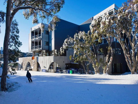 Buller Central Hotel - South Australia Travel 9