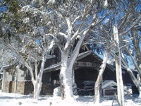 Book Dinner Plain Accommodation Vacations South Australia Travel South Australia Travel