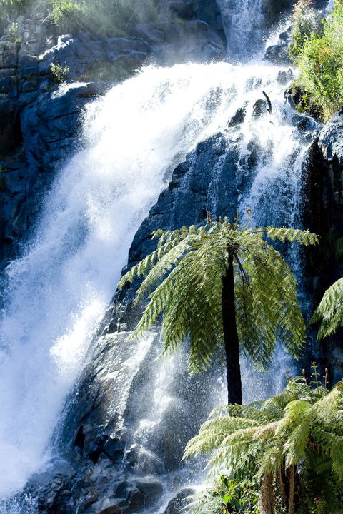 Tower Motel Marysville - South Australia Travel 23