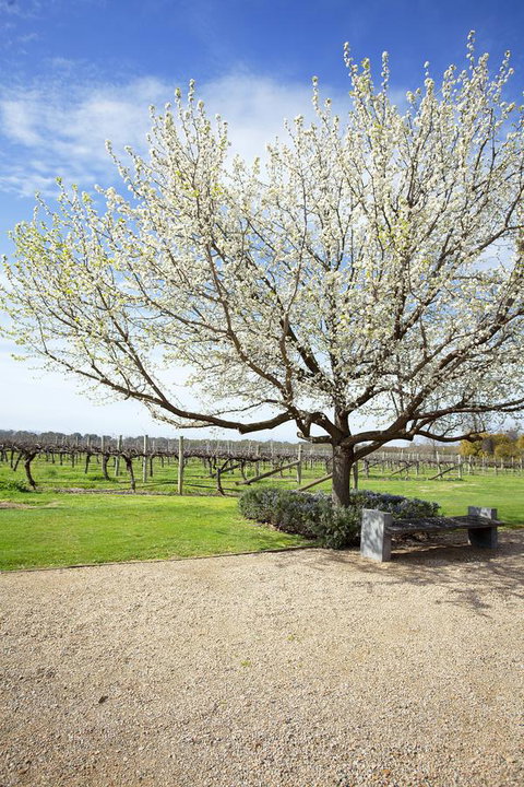 Lancemore Milawa - South Australia Travel 12