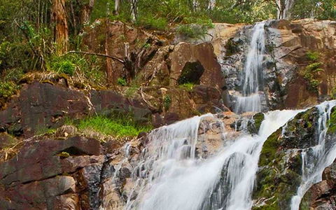 Marysville Caravan And Holiday Park - South Australia Travel 37