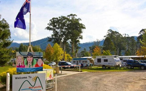 Marysville Caravan And Holiday Park - South Australia Travel 34