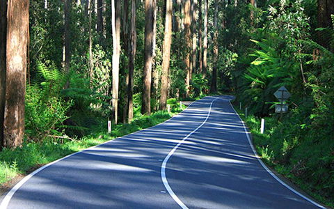 Marysville Caravan And Holiday Park - South Australia Travel 40