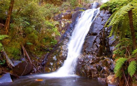 Marysville Caravan And Holiday Park - South Australia Travel 32