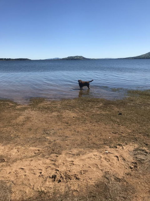 Snow View Holiday Units - South Australia Travel 25