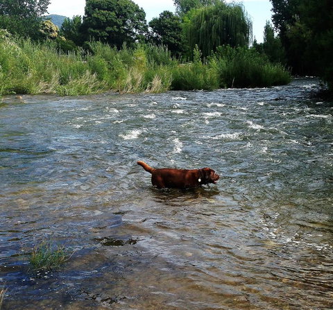 Snow View Holiday Units - South Australia Travel 23