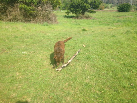 Snow View Holiday Units - South Australia Travel 24