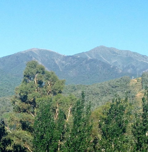 Snow View Holiday Units - South Australia Travel 5