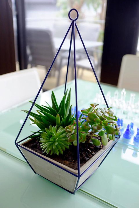 Ocean View Treetops Retreat - South Australia Travel 15