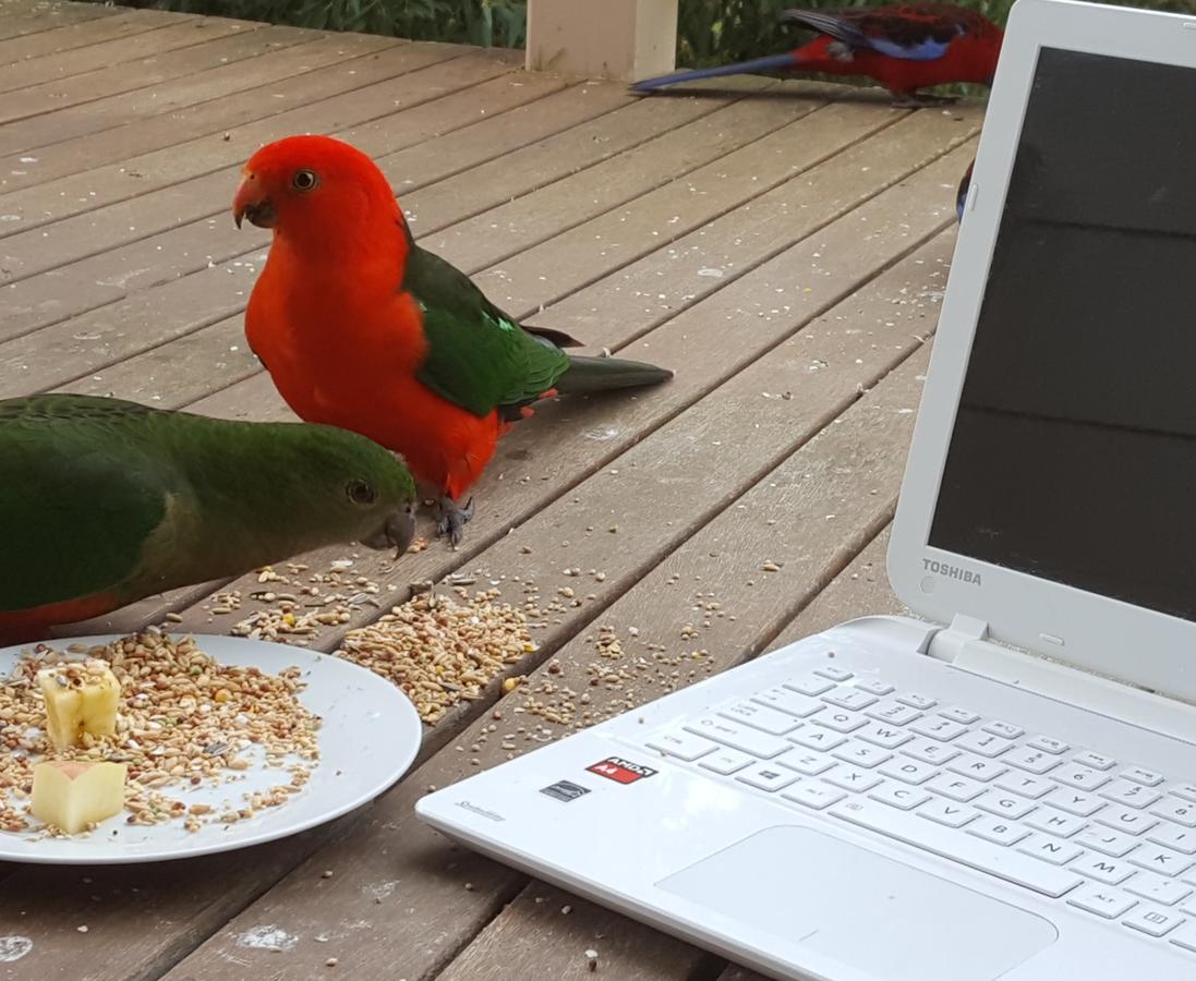  South Australia Travel