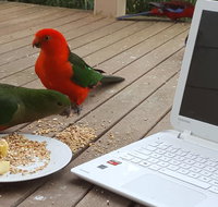 Wilsons Promontory Motel - South Australia Travel