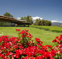 Balgownie Estate Vineyard Resort  Spa - South Australia Travel