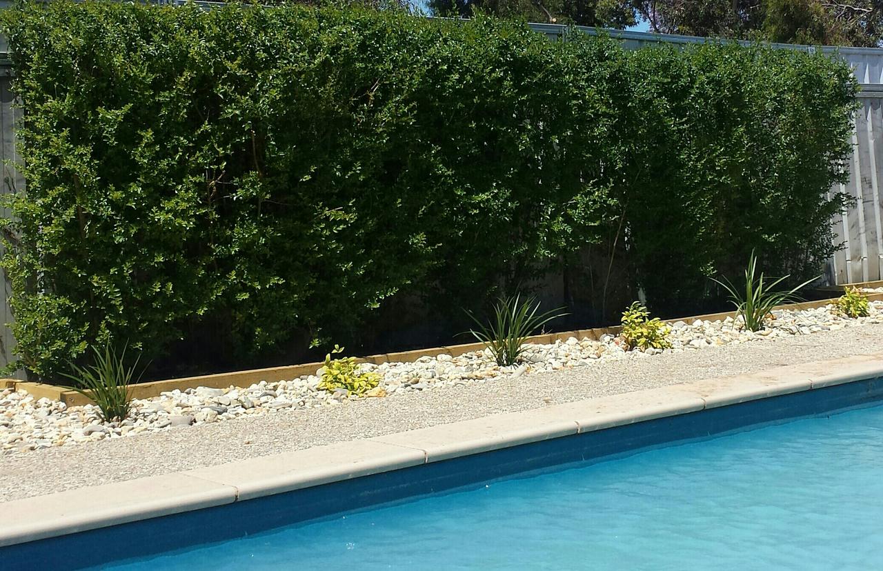 Annuello VIC South Australia Travel