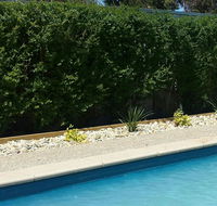 Robinvale Bridge Motel - South Australia Travel