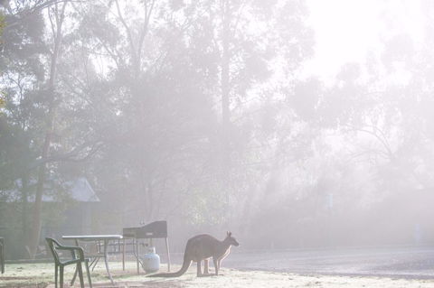 Gariwerd Motel - South Australia Travel 18