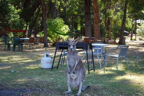 Gariwerd Motel - South Australia Travel 26