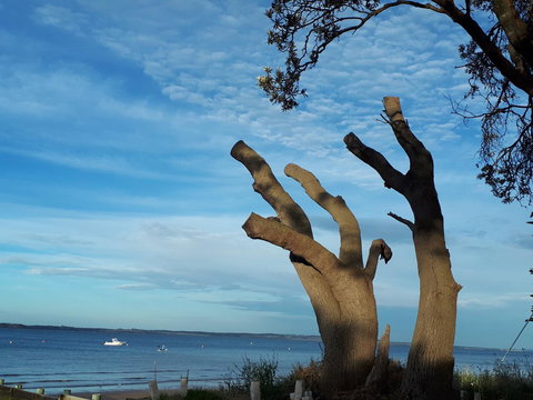Apartments In Phillip Island Towers - Block C - South Australia Travel 10