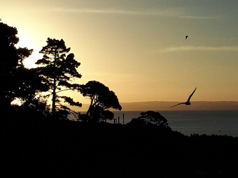 Apartments In Phillip Island Towers - Block C - South Australia Travel 19