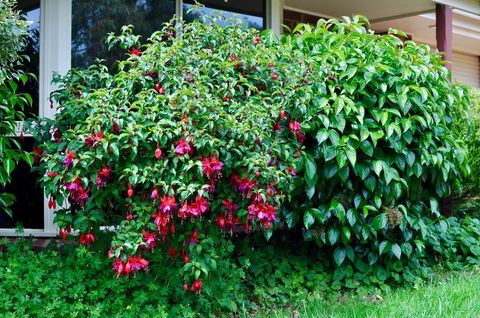 Crimea Retreat - South Australia Travel 18