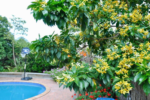 Crimea Retreat - South Australia Travel 20