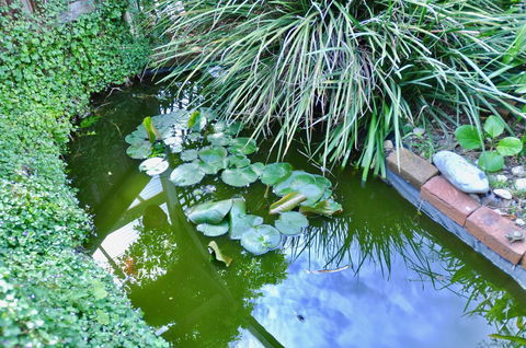 Crimea Retreat - South Australia Travel 26