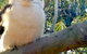 The Nature Resort Villas - thumb 22