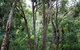 Tangenong Cottages - thumb 9
