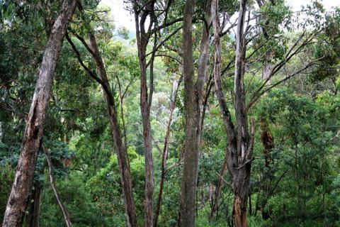 Tangenong Cottages - South Australia Travel 9