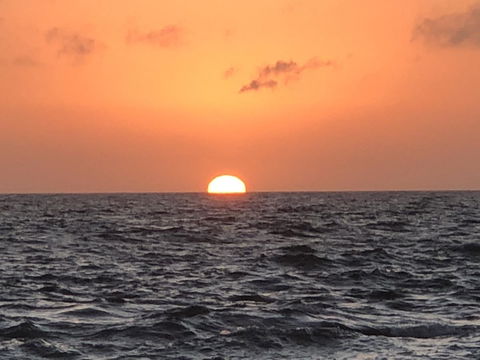 Beautiful, Cosy And Quiet - South Australia Travel 27